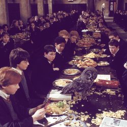 „Harry Potter“-Rezepte: Diese magischen Leckereien kannst du ganz leicht nachmachen