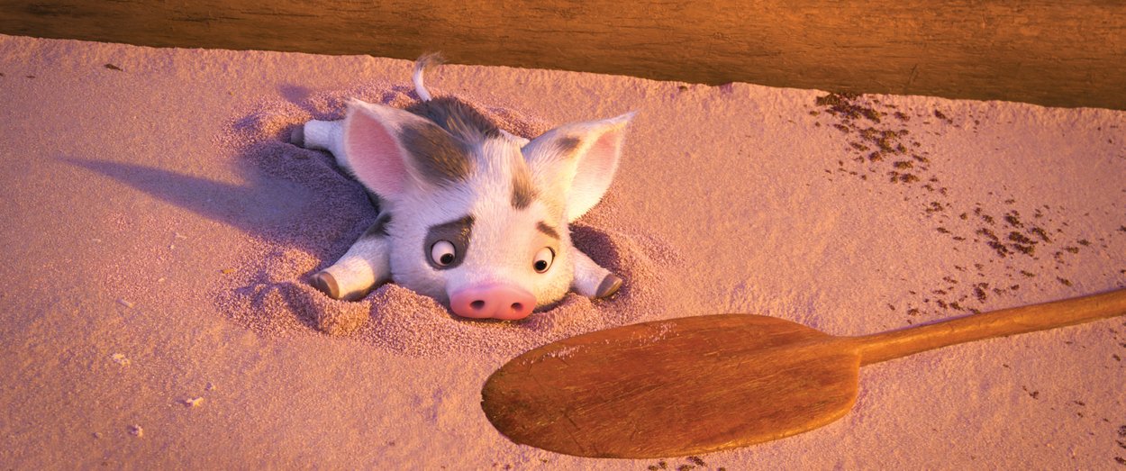 Vaiana Schwein Vaiana Schwein