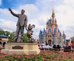 Warum du einen Trip nach Walt Disney World Florida planen solltest