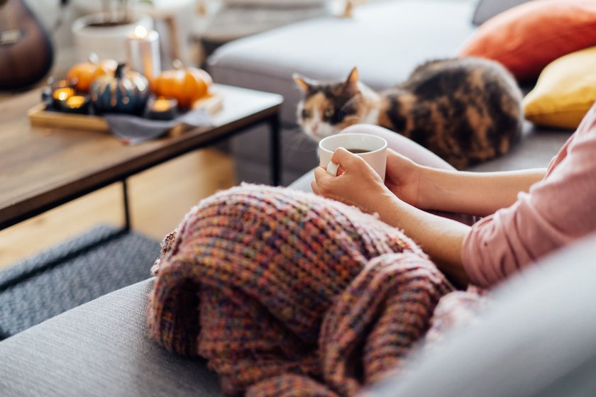 Close up woman in plaid holding cup of tea or coffee, watching movie, TV with multicolored cat on the sofa at home, decorated for fall holidays. Cozy and comfortable autumn concept. Selective focus.