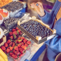 Es gibt zwei Arten von Blaubeeren und eine hat erhebliche gesundheitliche Vorteile – darauf musst du beim Kauf achten!