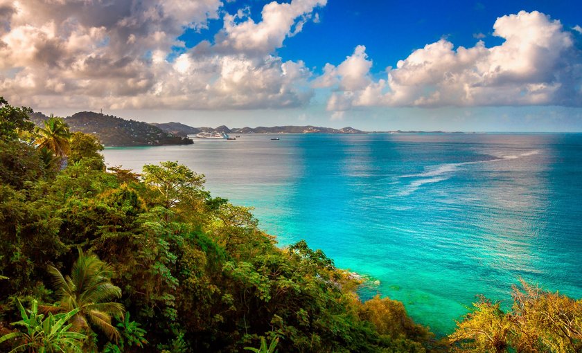 Löwe Reiseziel 2024 Grenada