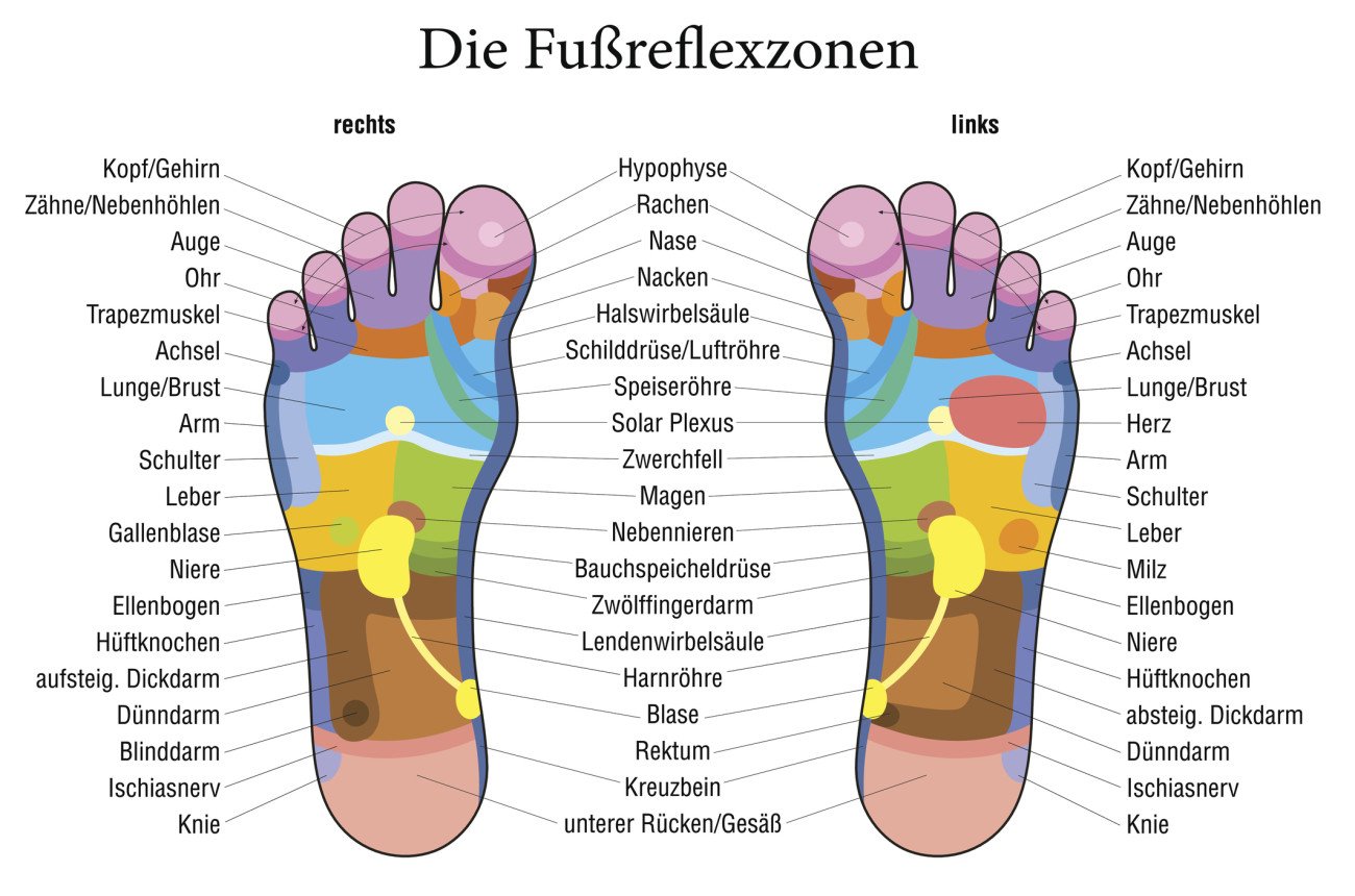 Füße Reflexzonen Füße Reflexzonen
