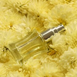 Dieser herbstliche Vanille-Duft von Rossmann gilt als Geheimtipp für den Herbst