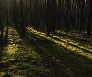 Nervenkitzel pur: Diese Funde in Tess Gerritsens Thriller lassen dich nicht schlafen