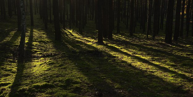 Unvergesslicher Nervenkitzel: Die Enthüllungen in diesem Tess Gerritsens Thriller schockieren