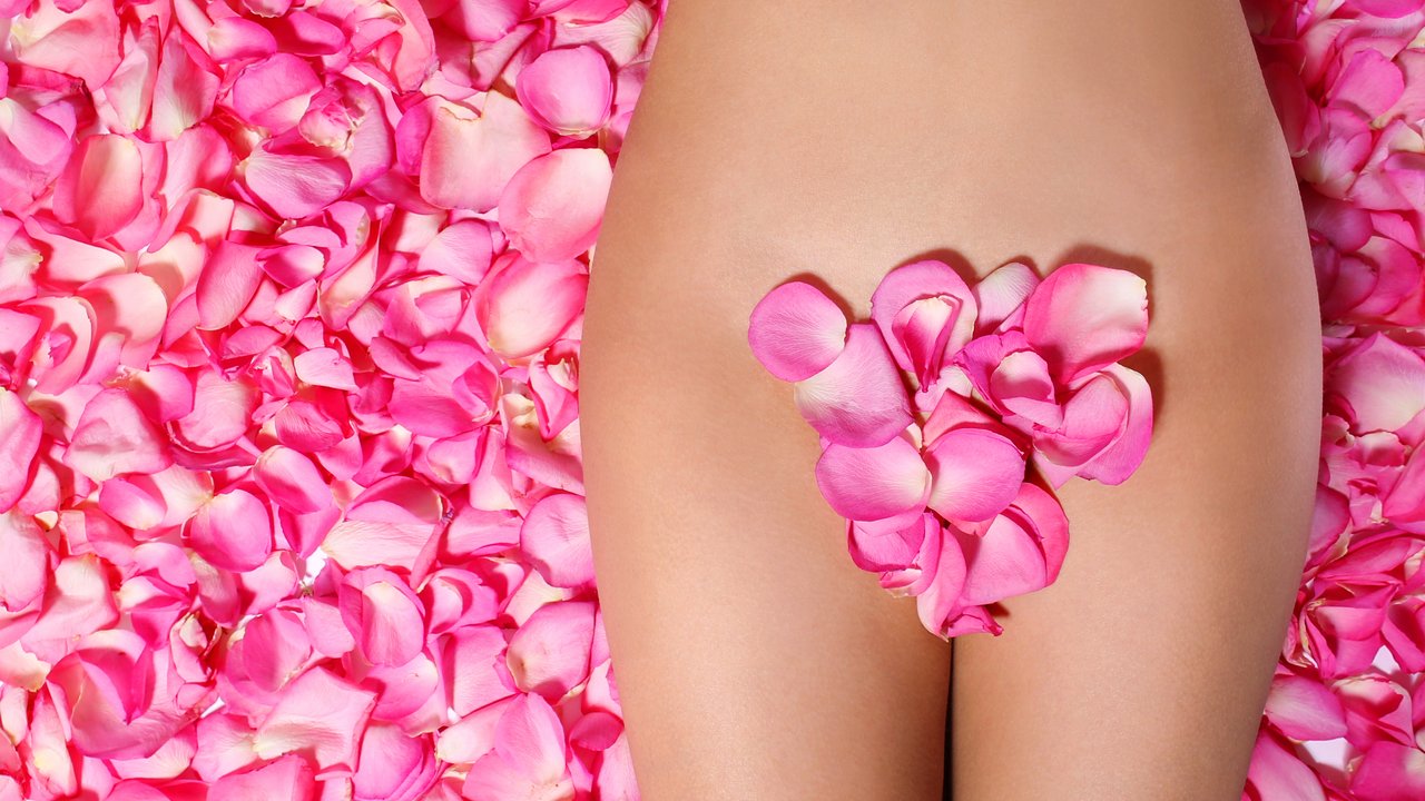 Petals of Pink Roses on woman's body. Concept of Waxing. Bikini Zone