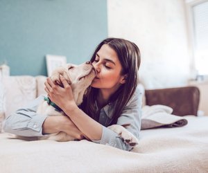 Coronavirus: Was Haustier-Besitzer jetzt beachten sollten!