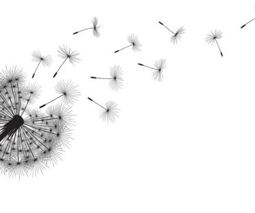 Pusteblume-Tätowierung Vorlagen