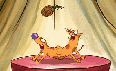 giphy catdog giphy catdog