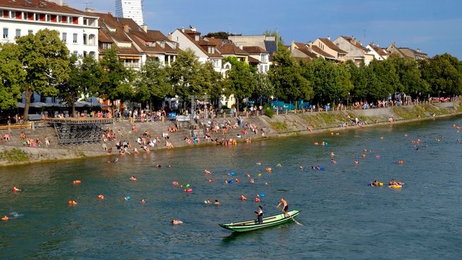 Basler Rheinschwimmen