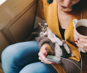 Wenn deine Katze dir vor die Füße läuft, hat sie diese Botschaft für dich