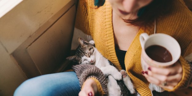 Wenn deine Katze dir vor die Füße läuft, hat sie diese Botschaft für dich
