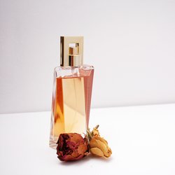Unaufdringlich, aber anziehend: 3 zarte Parfums fürs erste Date