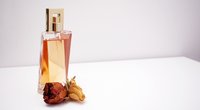 3 zarte Parfums, die fürs erste Date ideal sind