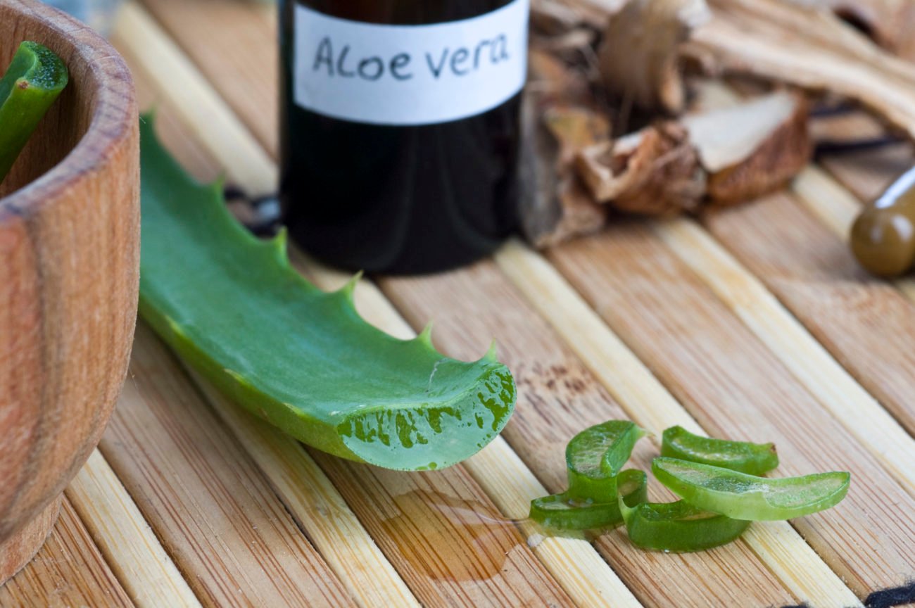 Aufgeschnittene Aloe Vera Aufgeschnittene Aloe Vera