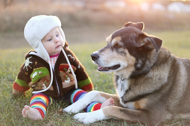 Baby und Hund sitzen im Park