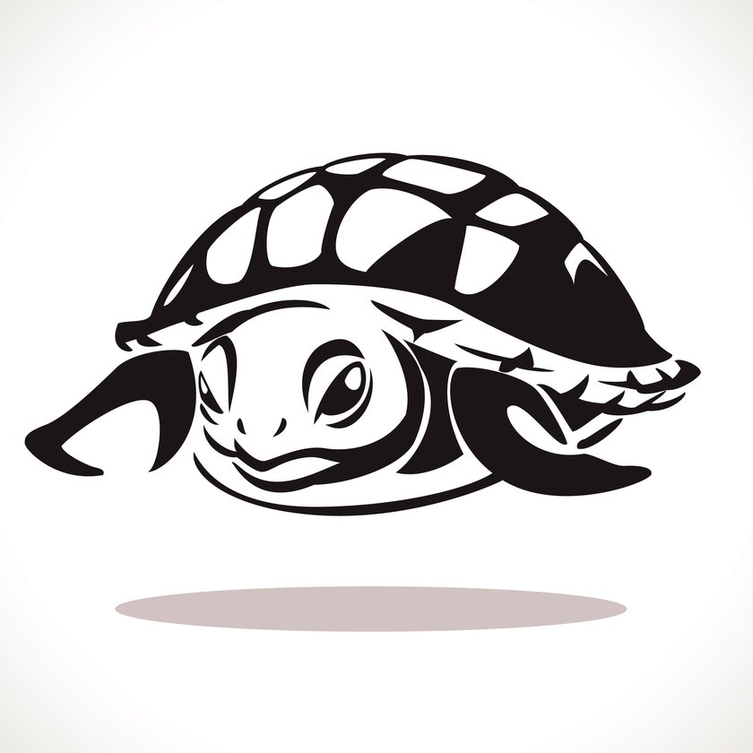 Schildkröte-Tattoo Vorlage 2