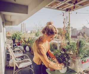 7 Tipps, mit denen deine Balkonpflanzen den Urlaub auch ohne Nachbarn zum Gießen überstehen