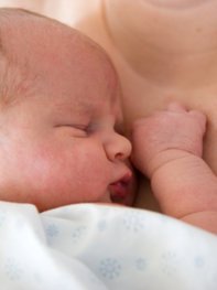 Muttermilch hält wichtige Vitamine für Dein Kind bereit. Muttermilch hält wichtige Vitamine für Dein Kind bereit.