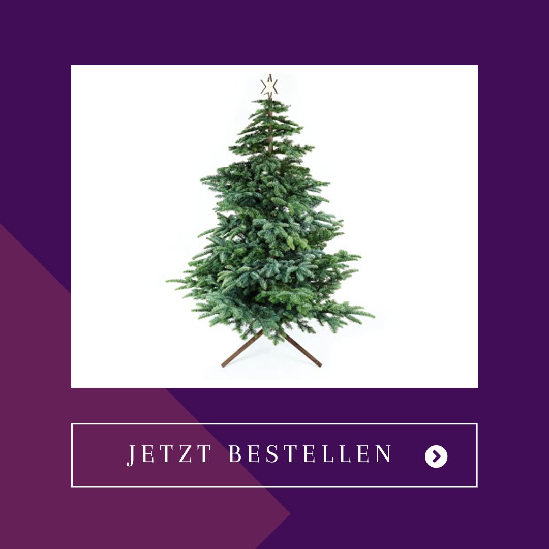 nachhaltigen Weihnachtsbaum basteln