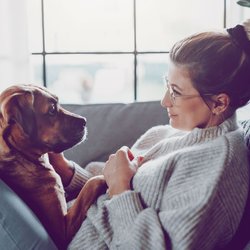 Laut Forschern: Diese Worte machen deinen Hund glücklich