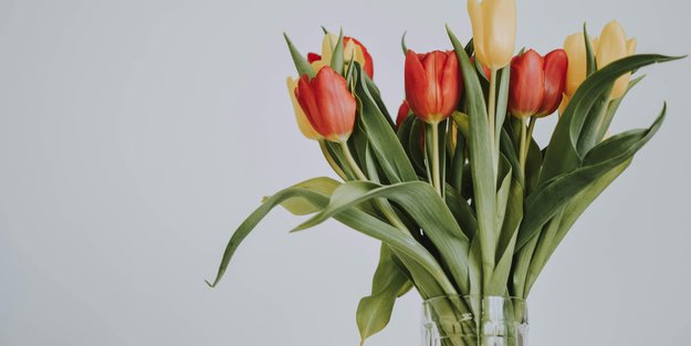 Du liebst Tulpen im Frühling? Dann wird dich dieses Ikea-DIY begeistern
