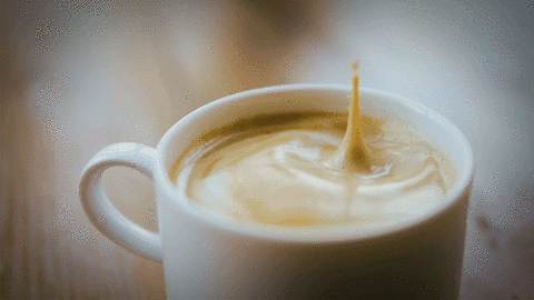 Kaffee: Gesund und lecker