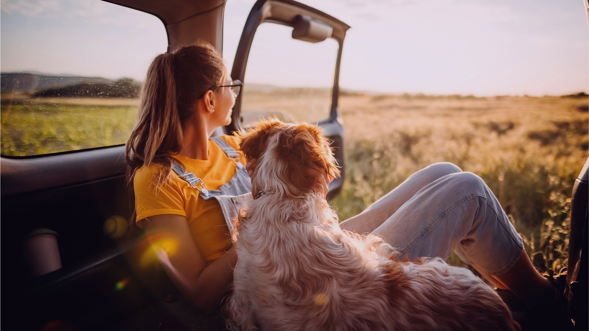 Roadtrip-mit-Hund-So-wird-die-Reise-im-Auto-f-r-euch-entspannt-