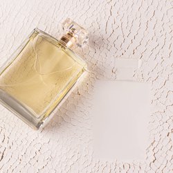 Weckt garantiert Fernweh: Das Rossmann-Parfum, das dich auf einen Tagtraum nach Venedig mitnimmt