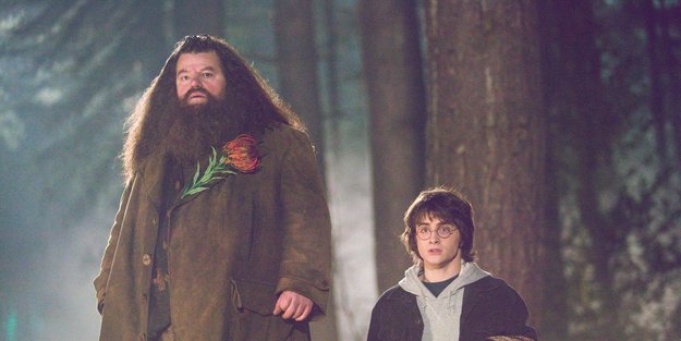 „Harry Potter“ Altersfreigabe: Diese Filme sind für Kinder nicht geeignet