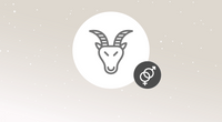 Steinbock