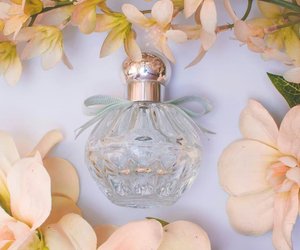 Sinnlicher Duft von Rossmann für einen unvergesslichen Frühlingsausflug