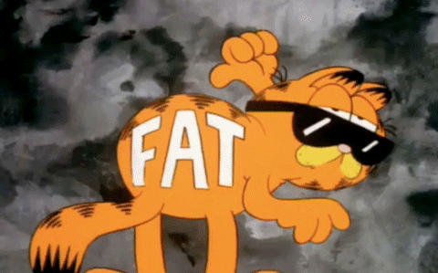 giphy fat giphy fat