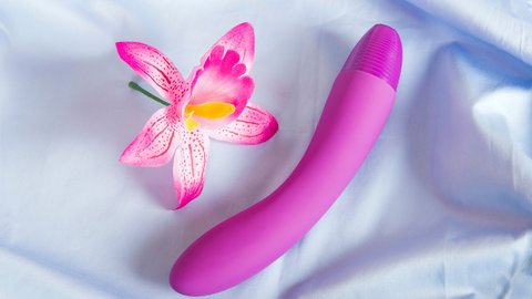 vibrator mit orgasmusgarantie Horseware Kühlgamaschen Horseware Ice-Vibe Boots Cold Pack