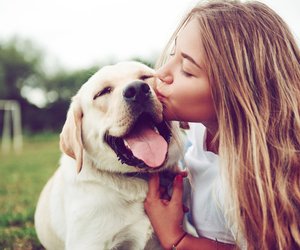 Süße Hunderassen: Das sind ganz offiziell die niedlichsten Hunde überhaupt!