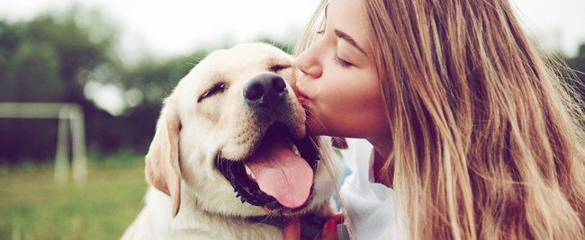 Süße Hunderassen: Das sind offiziell die niedlichsten Hunde überhaupt!
