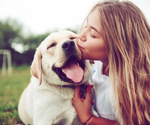 Süße Hunderassen: Das sind ganz offiziell die niedlichsten Hunde ever!