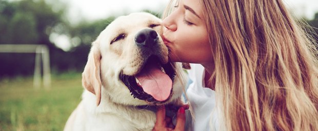 Süße Hunderassen: Das sind ganz offiziell die niedlichsten Hunde ever!