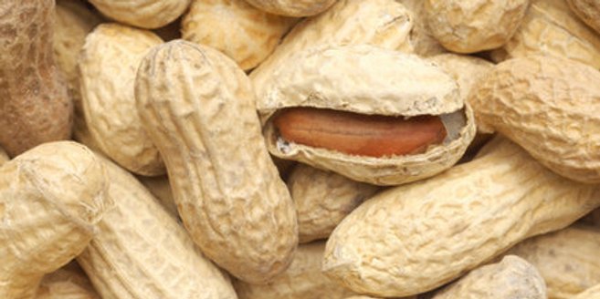 Erdnüsse in der Schwangerschaft lösen keine Allergie beim Baby aus Erdnüsse in der Schwangerschaft lösen keine Allergie beim Baby aus