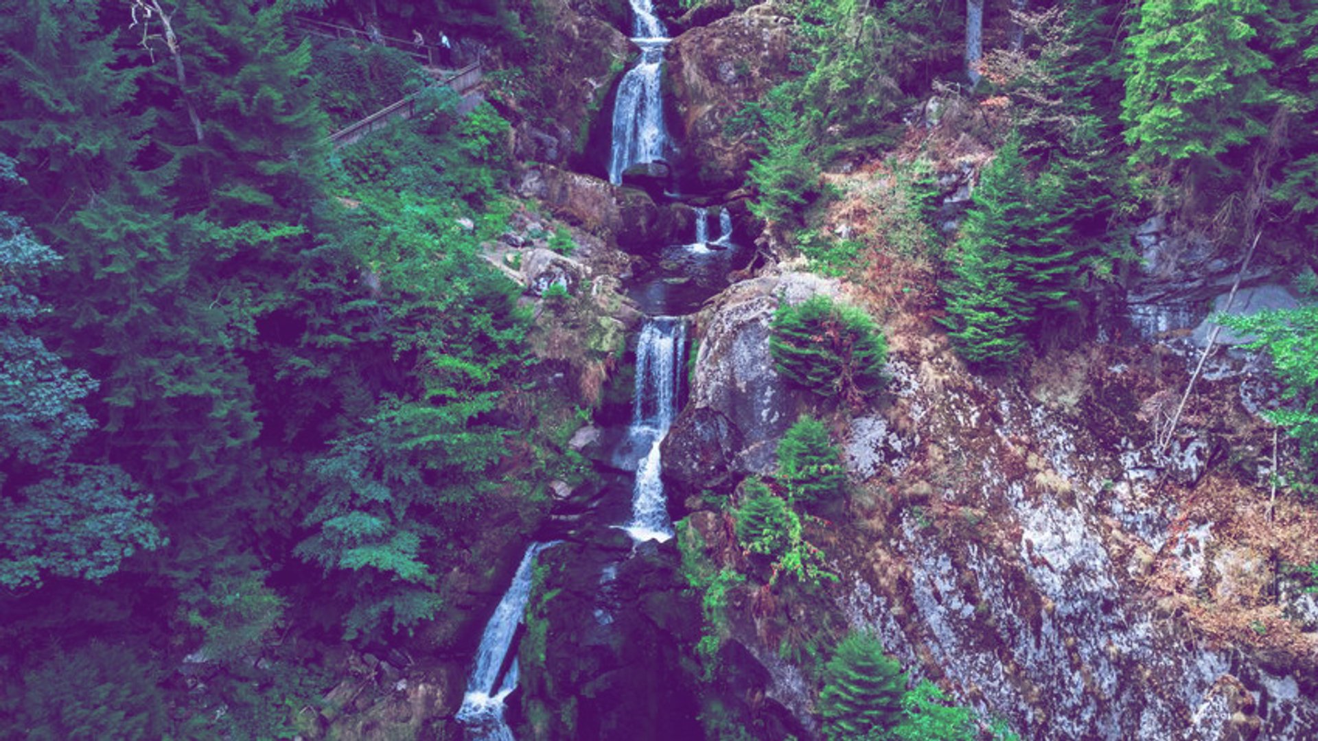 Ausflugs-Tipp-f-r-den-Schwarzwald-Dieser-Ort-verbindet-magische-Natur-mit-einem-Weltrekord