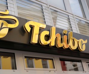 Kuschelig und beliebt: Warum Katzen diesen Korb von Tchibo lieben