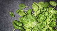 Gesunder Spinat: Diese Nährstoffe enthält das grüne Kraftfutter