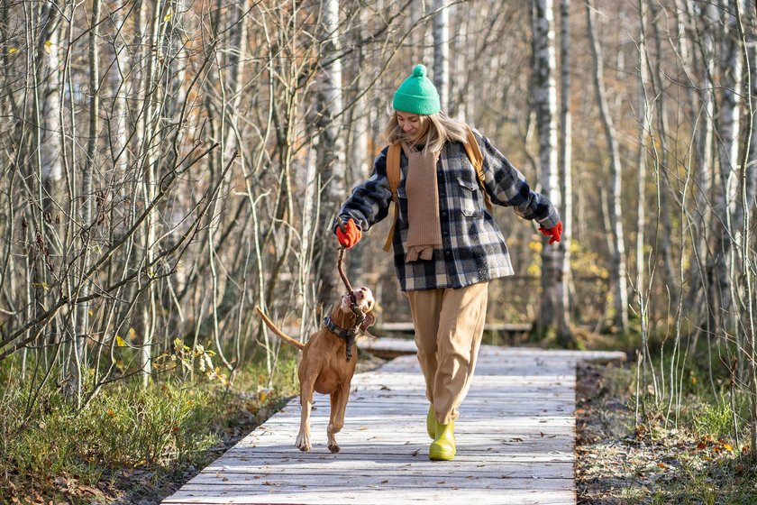 Cheerful happy woman walking running with dog magyar vizsla