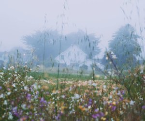 Charlotte Links Krimi erzählt von zwei Frauen, deren Schicksale fest miteinander verknüpft sind