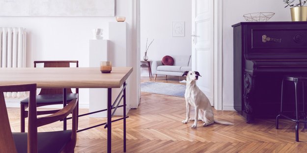 1x1 der Wohnpsychologie: So wird dein Zuhause wirklich zum absoluten Wohlfühlort 