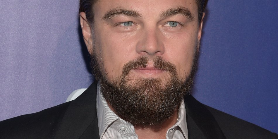 Leonardo Dicaprio Schwiegerelternalarm Desired De