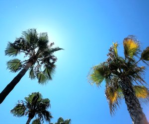 Unsere persönlichen Top 10: Die besten Ausflugstipps für Mallorca!