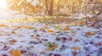 Schock-Prognose für das Wetter: Bringt der Oktober Frost und Schnee?
