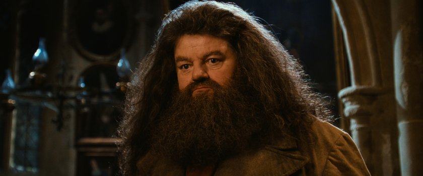 Robbie Coltrane alias Hagrid